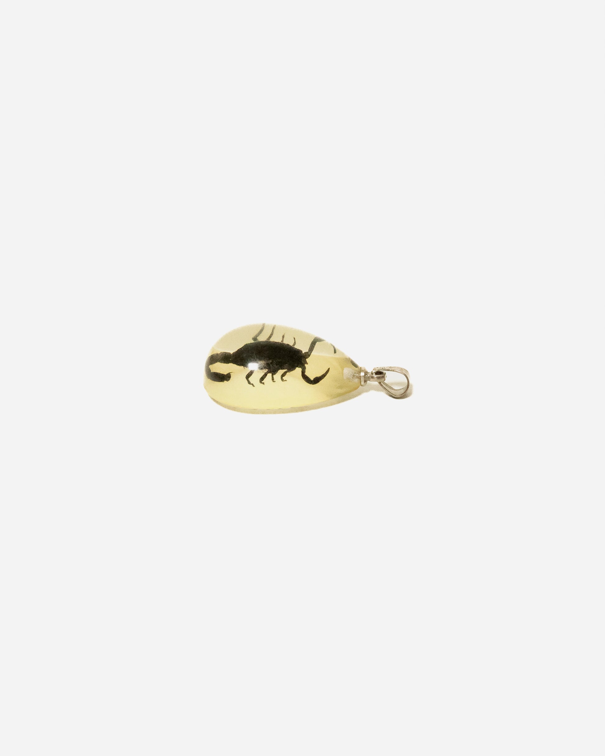 Vintage Resin Pendant with Preserved Scorpion, Clear