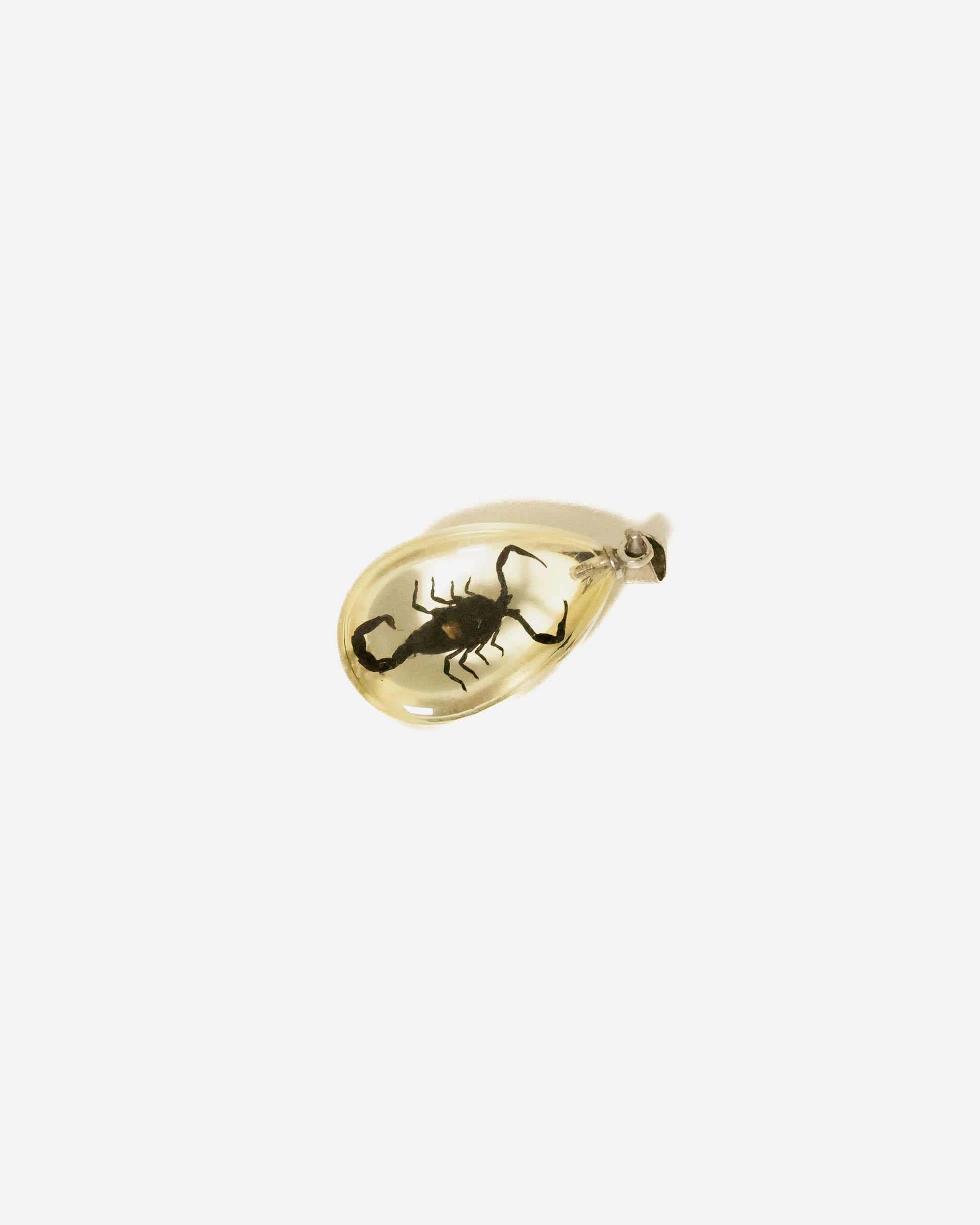 Vintage Resin Pendant with Preserved Scorpion, Clear