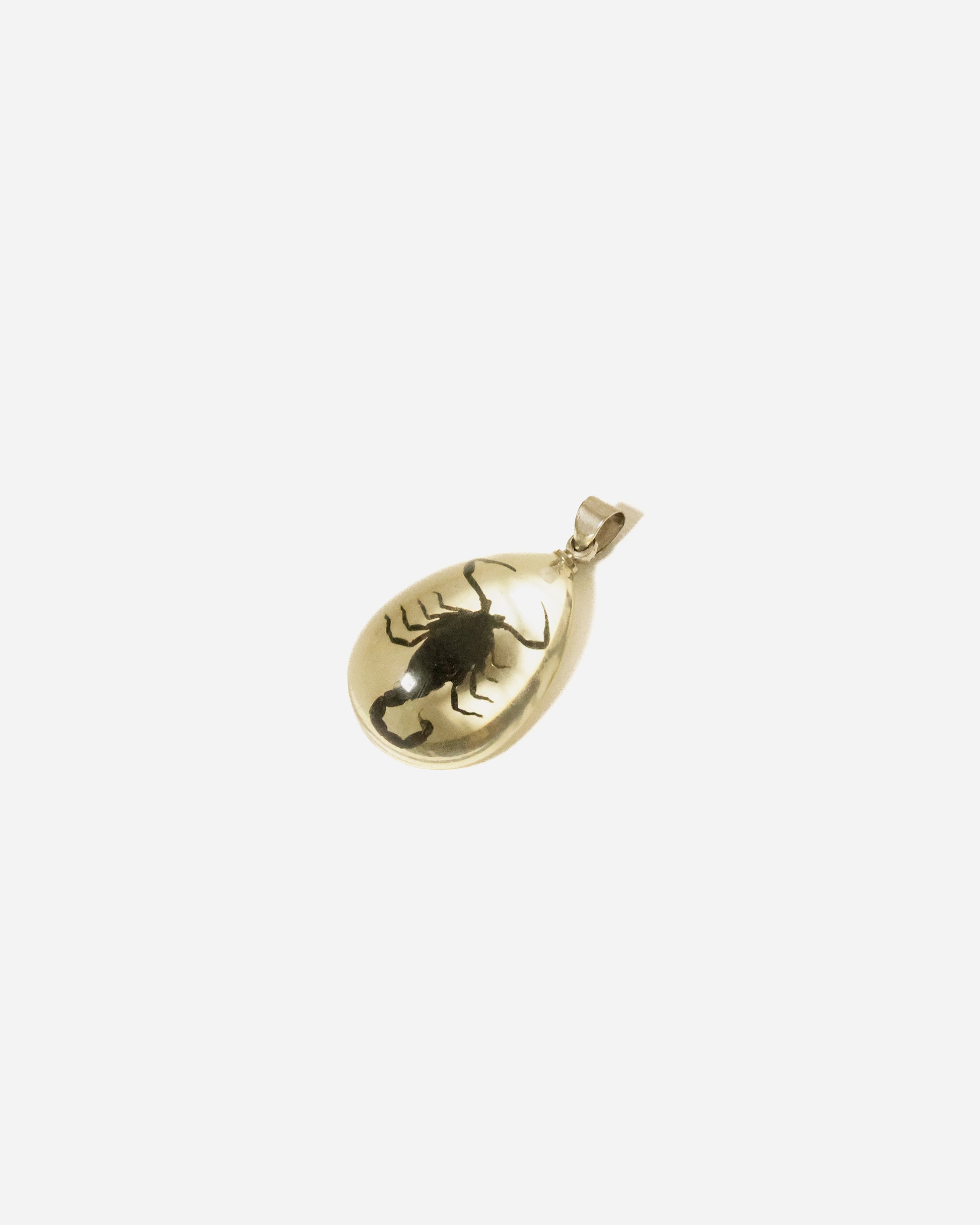 Vintage Resin Pendant with Preserved Scorpion, Clear