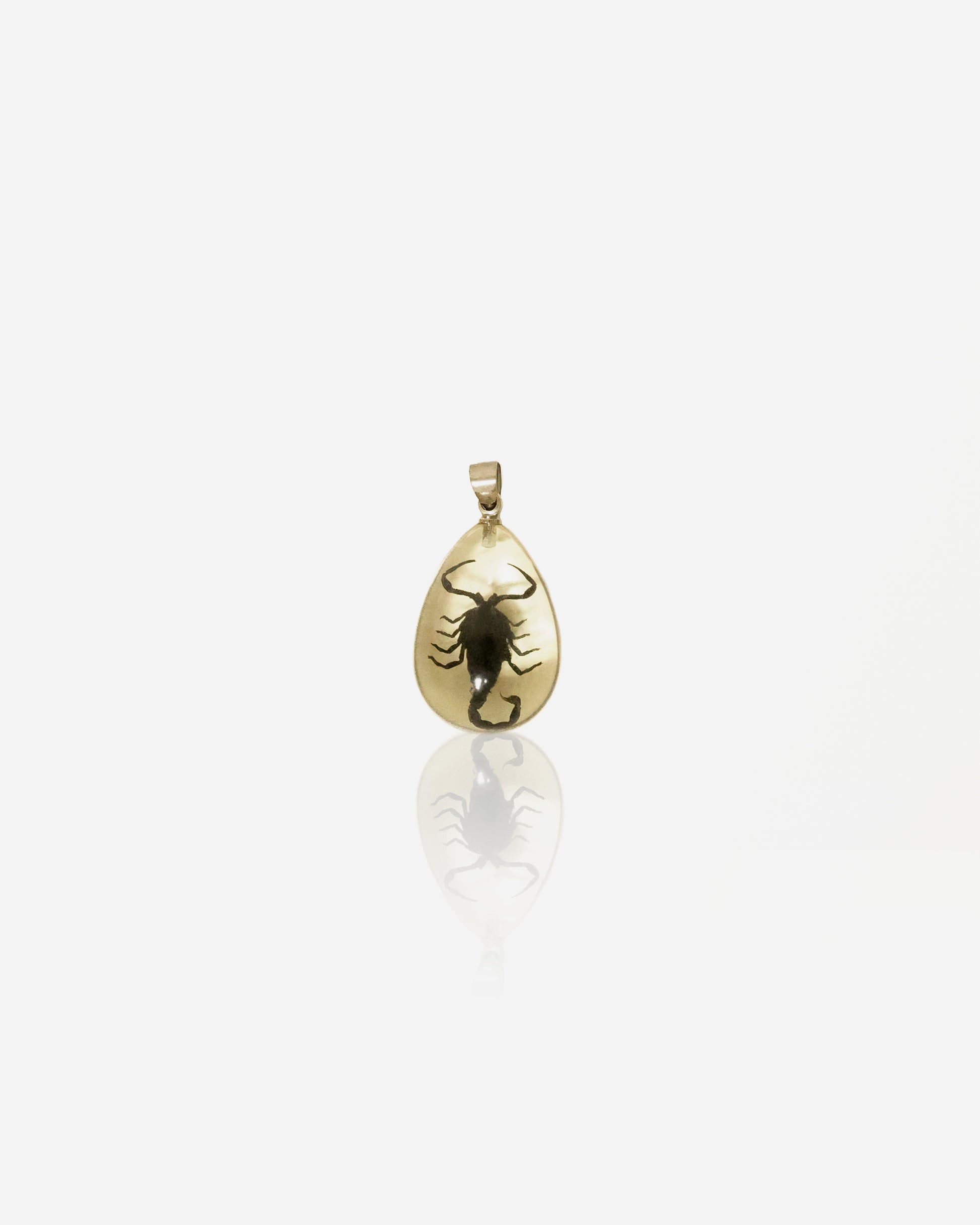 Vintage Resin Pendant with Preserved Scorpion, Clear