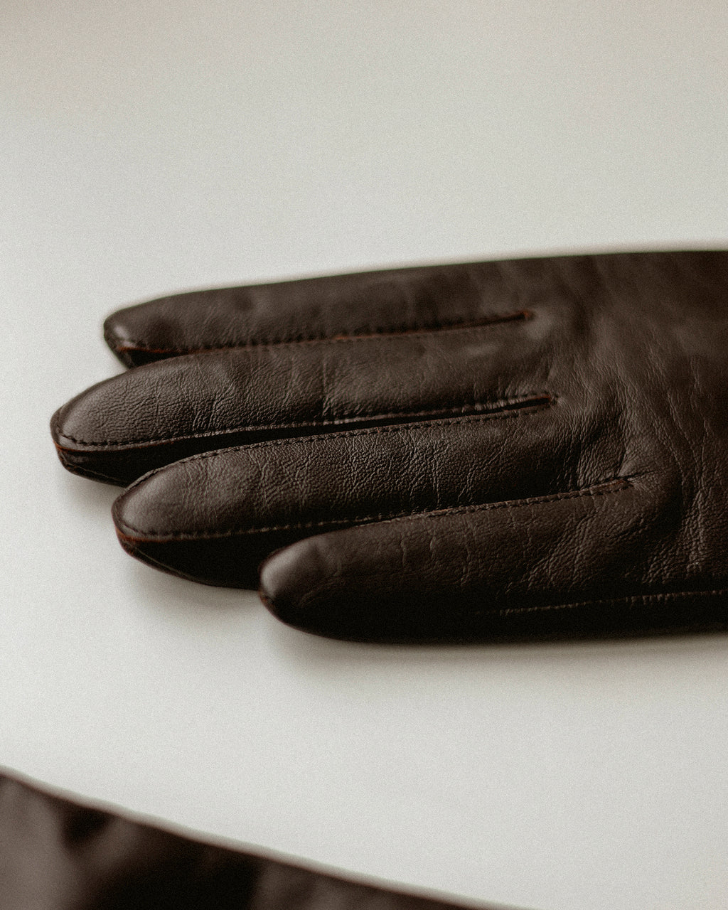 Opera Long Leather Gloves, Capulet Brown