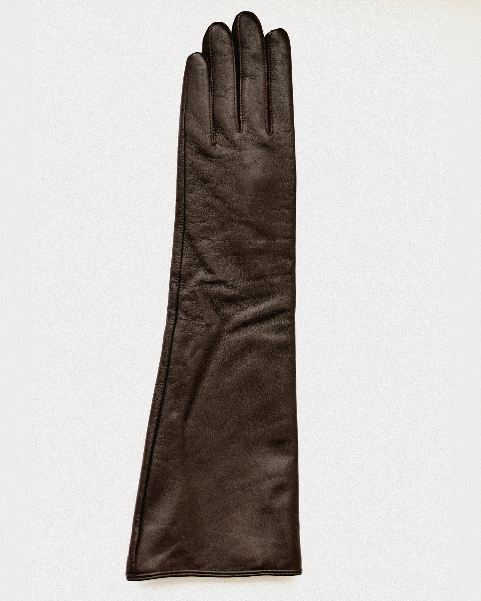 Opera Long Leather Gloves, Capulet Brown