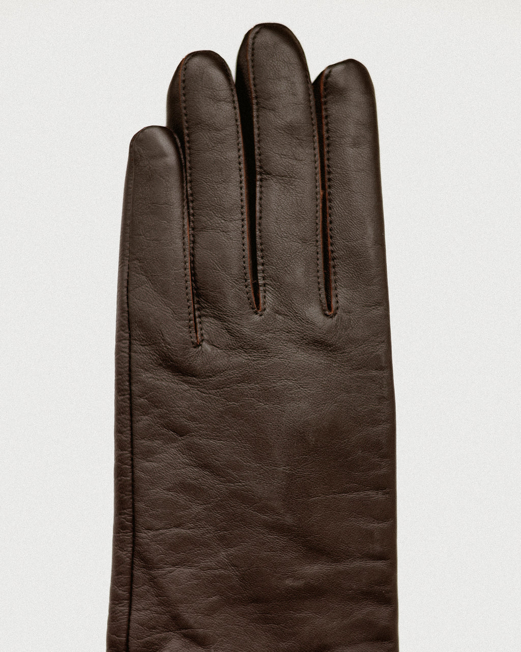 Opera Long Leather Gloves, Capulet Brown