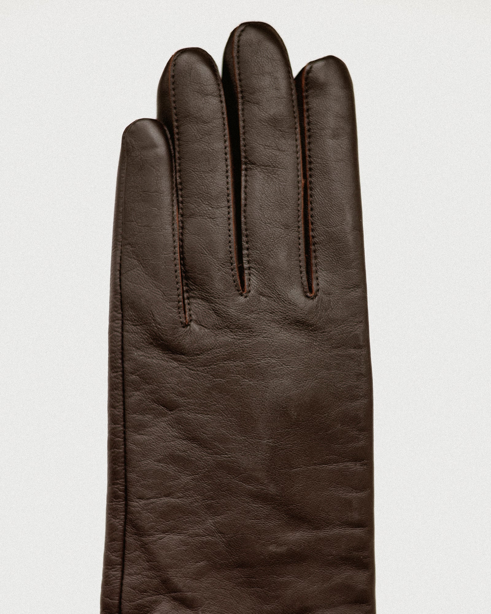 Opera Long Leather Gloves, Capulet Brown