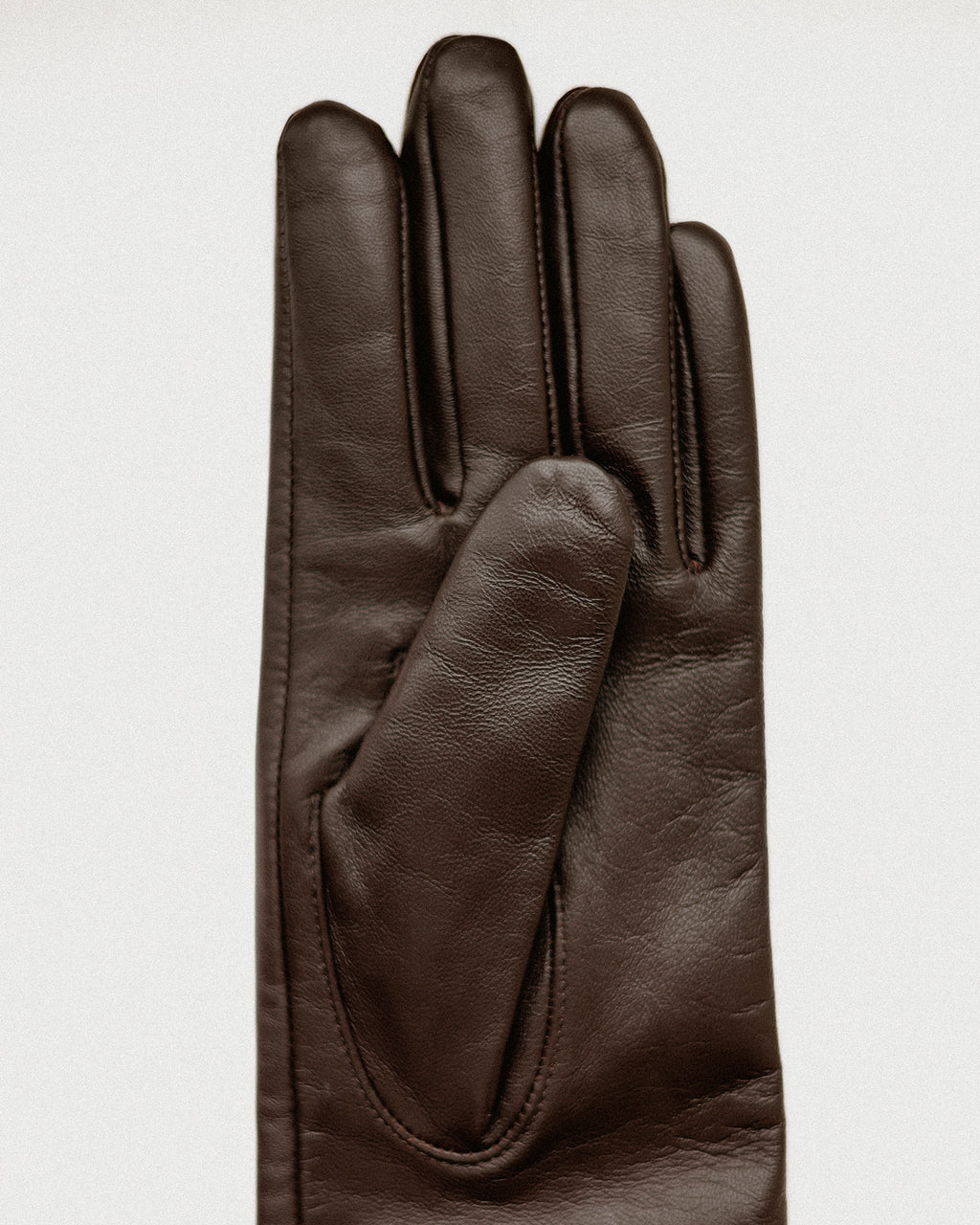 Opera Long Leather Gloves, Capulet Brown