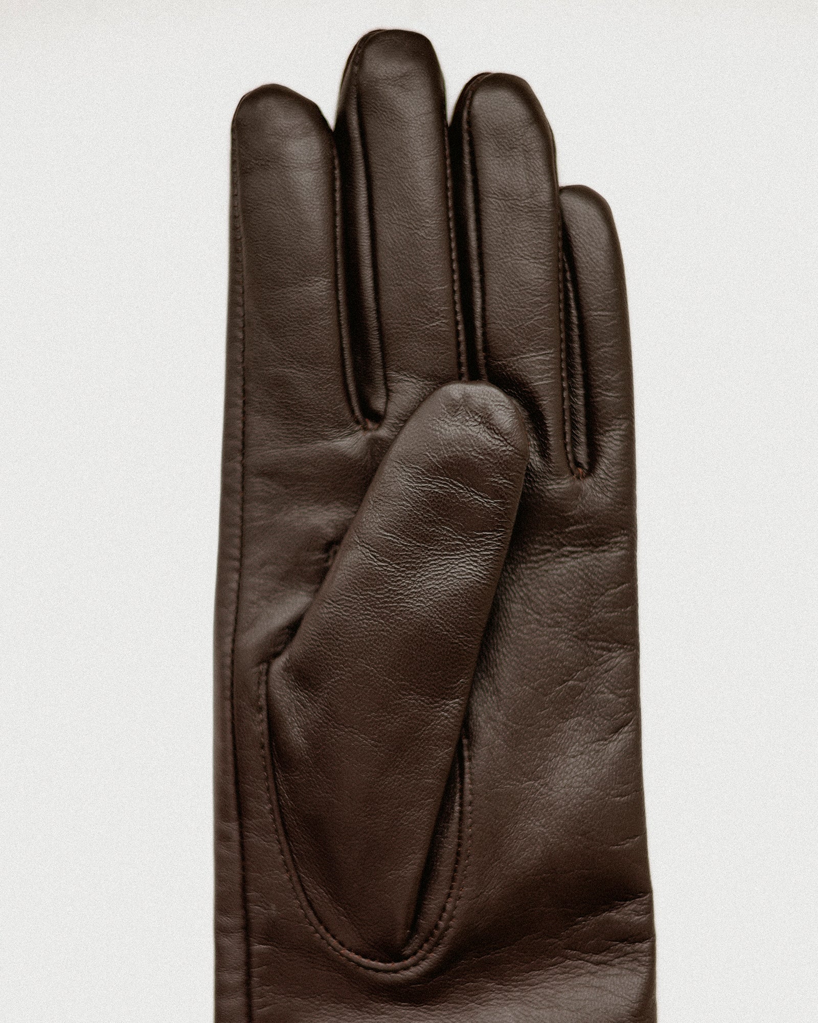 Opera Long Leather Gloves, Capulet Brown