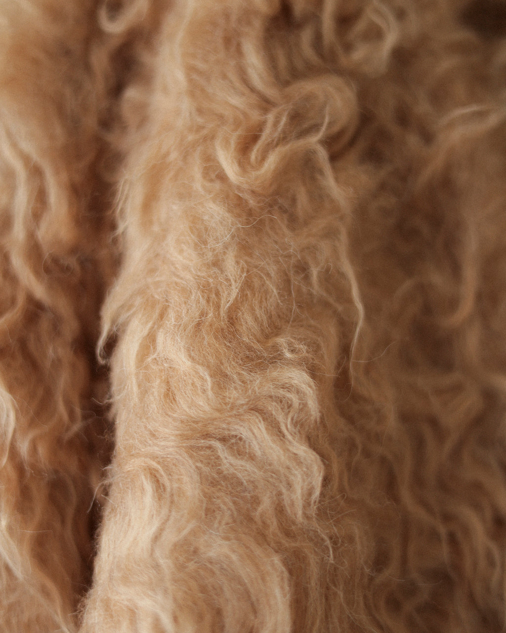 Sunset Brushed Cardigan, Caramel Toffee