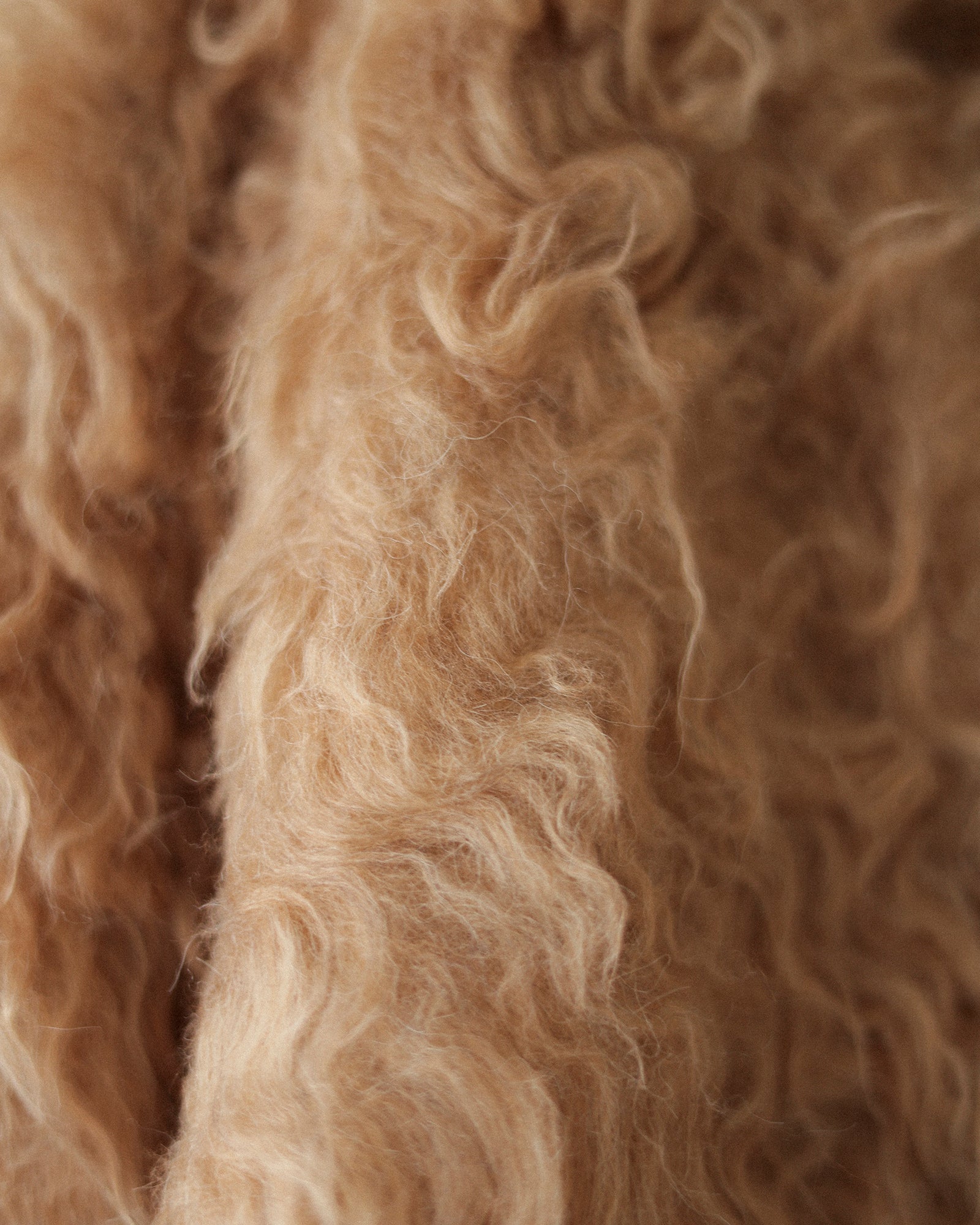 Sunset Brushed Cardigan, Caramel Toffee