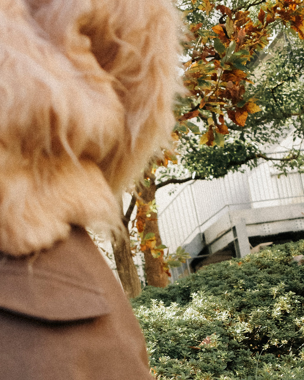 Sunset Brushed Cardigan, Caramel Toffee