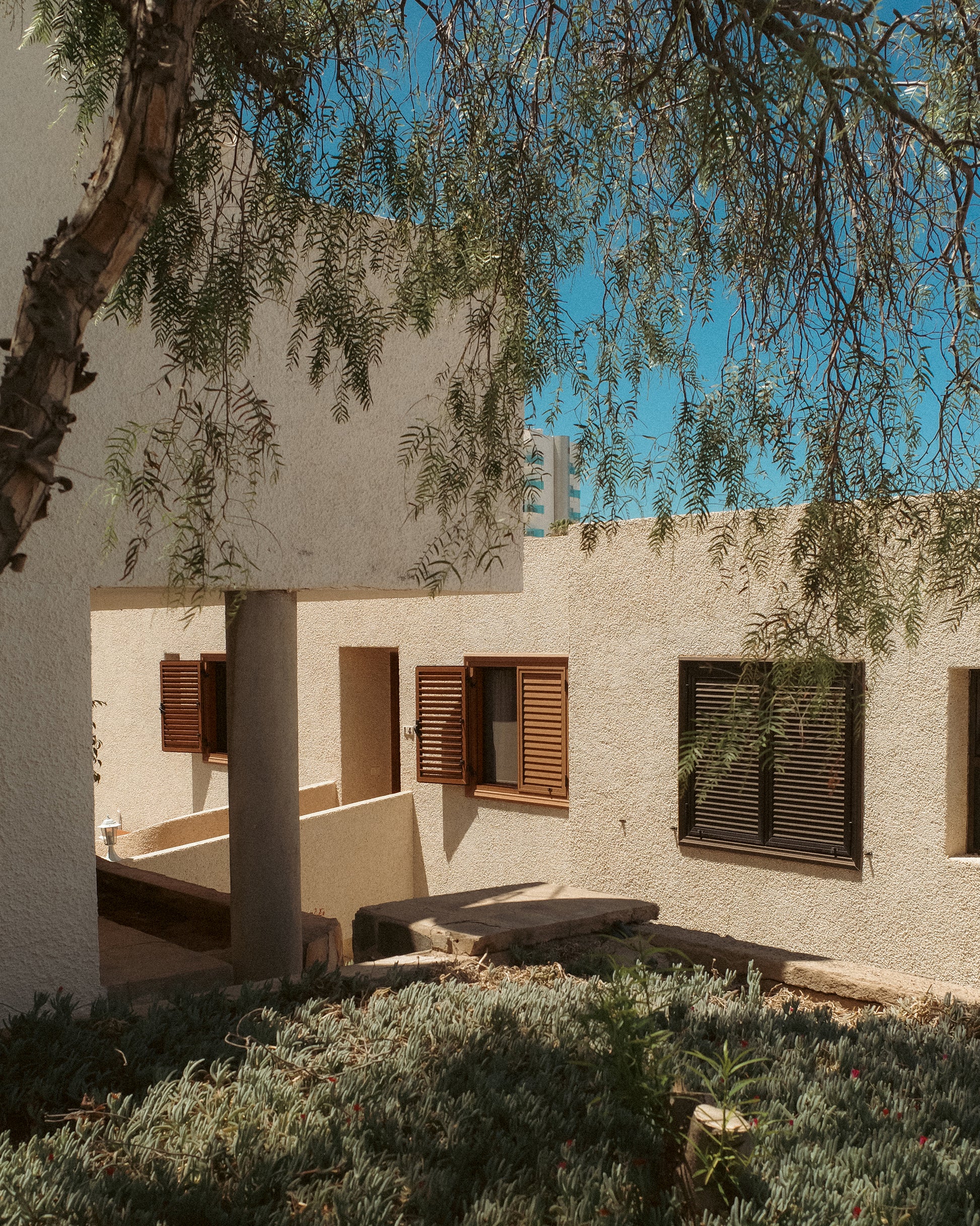 Canary Chain Belt, Antique Gold