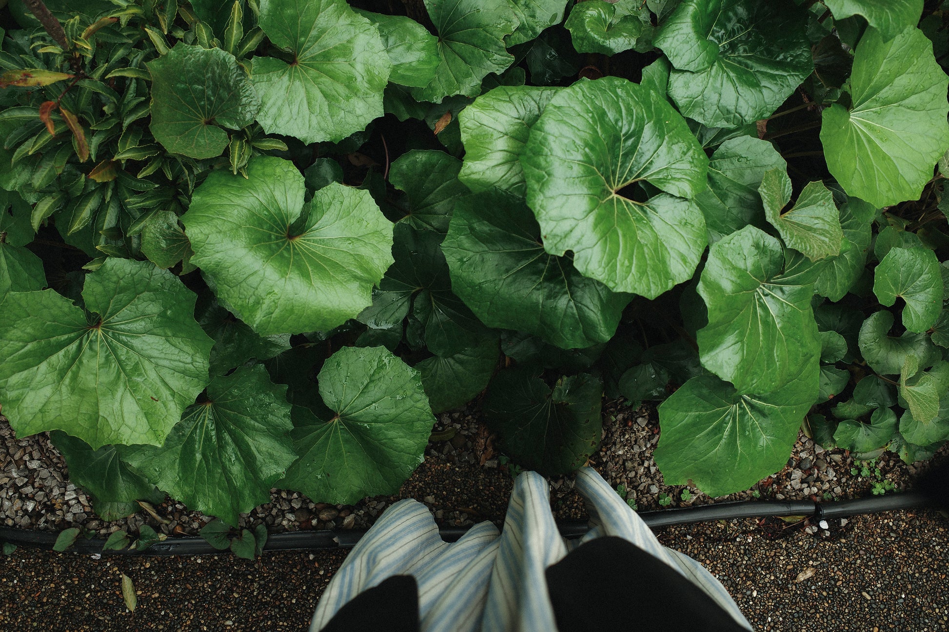 Agnes Stripe Oversized Dress, Cotswold Sky