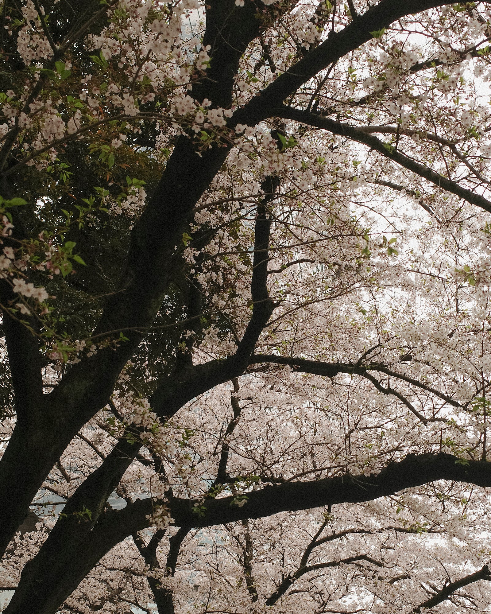 Agnes Stripe Oversized Dress, Cotswold Sky