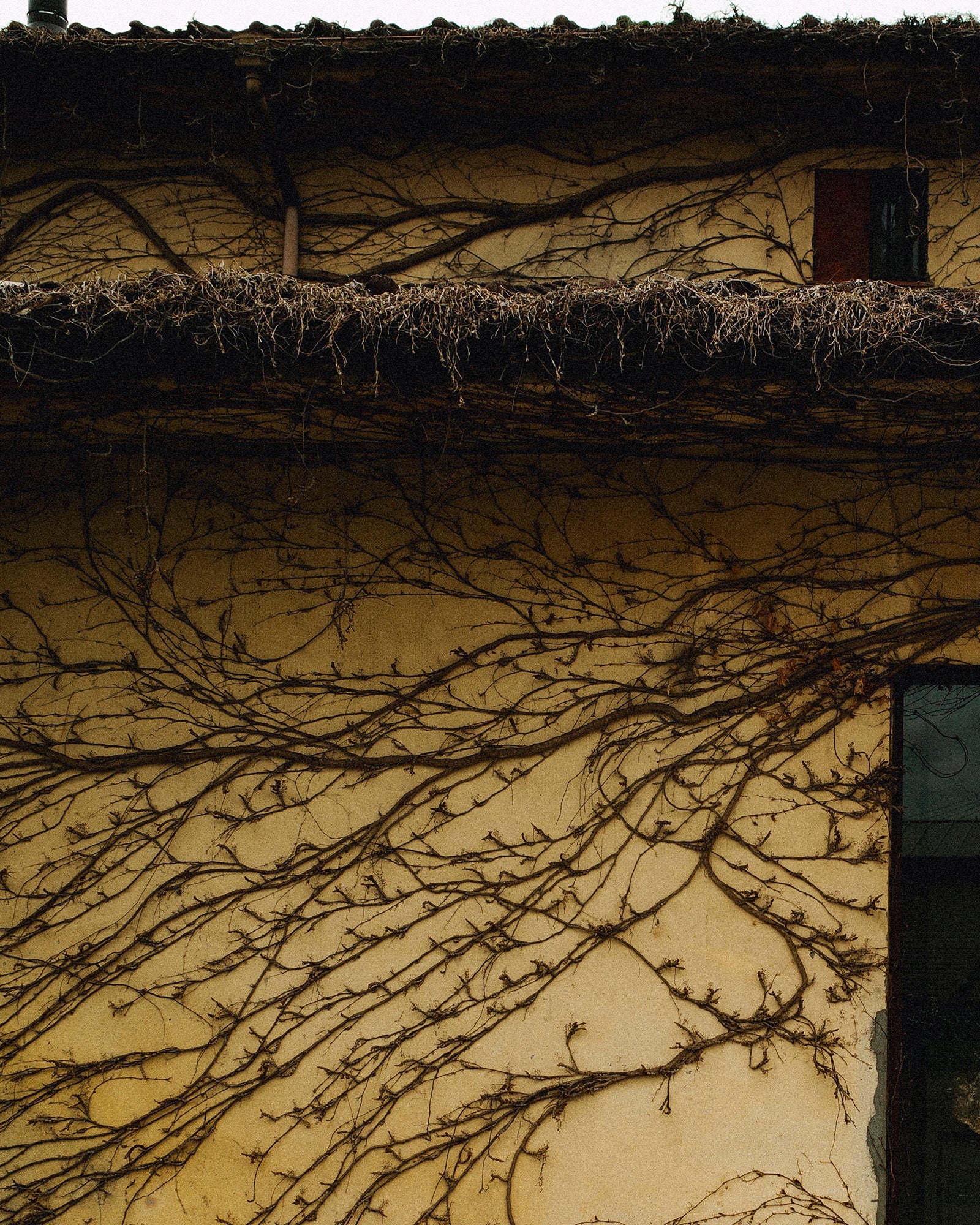 Newton Cotton-linen Oversized Cottage Shirt, Milky White