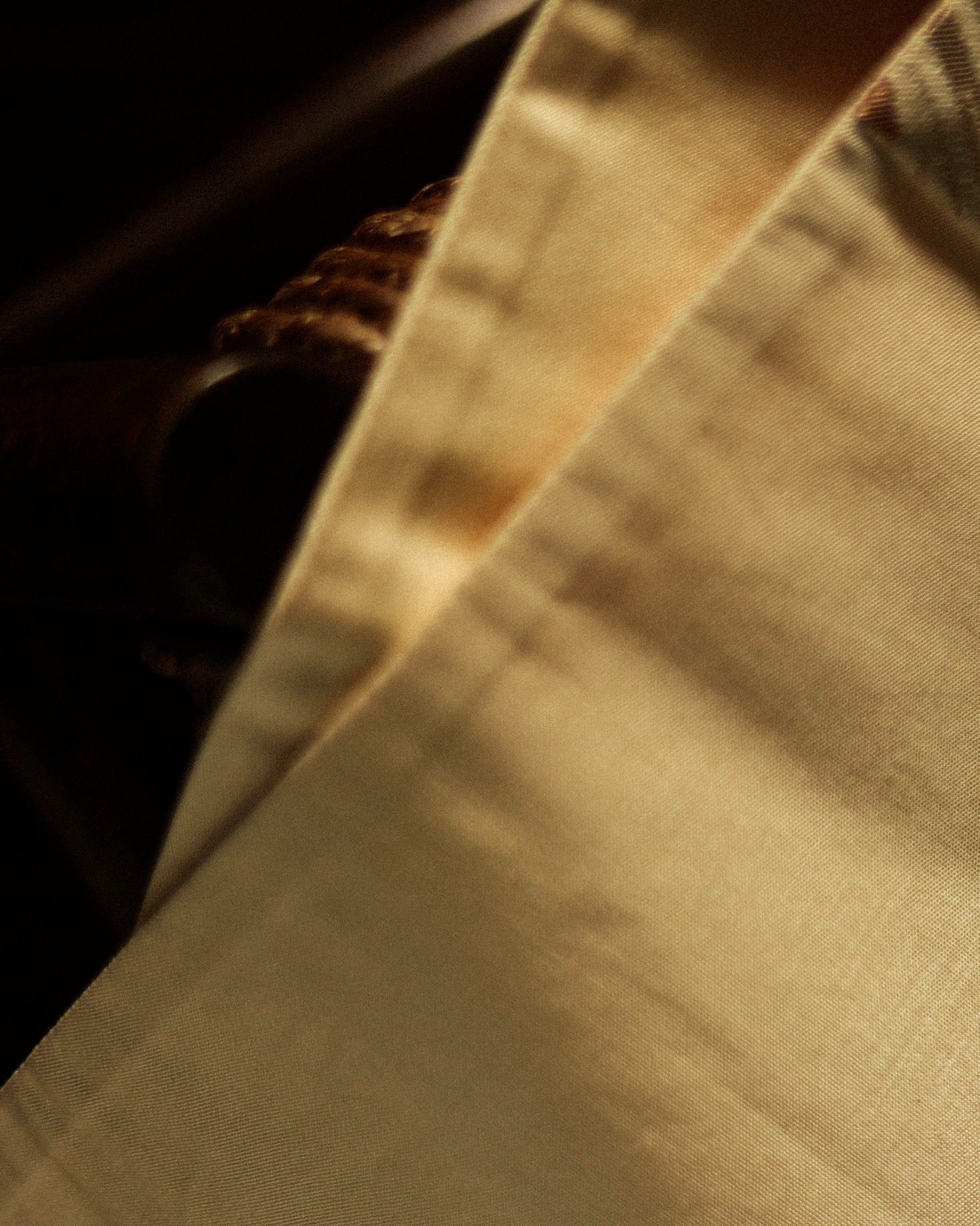 Japanese Antique Obi with Flowing River and Pine, Sunsent Gold