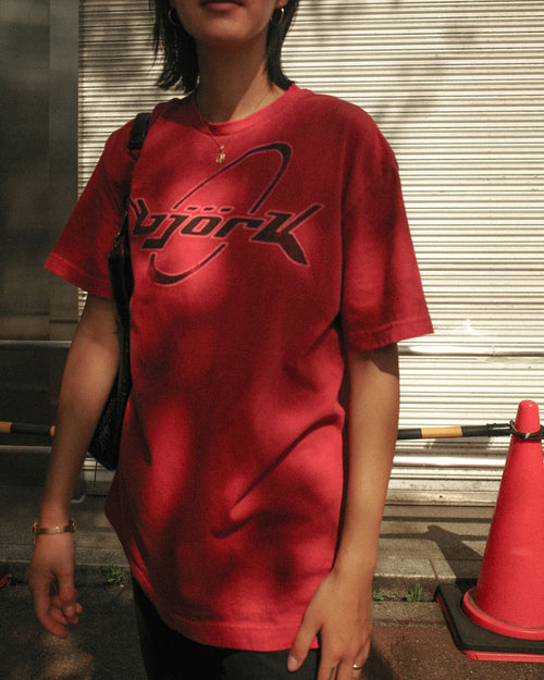 (Restock on 5.15) Björk 90s Washed Graphic Tee, Faded Crimson Red