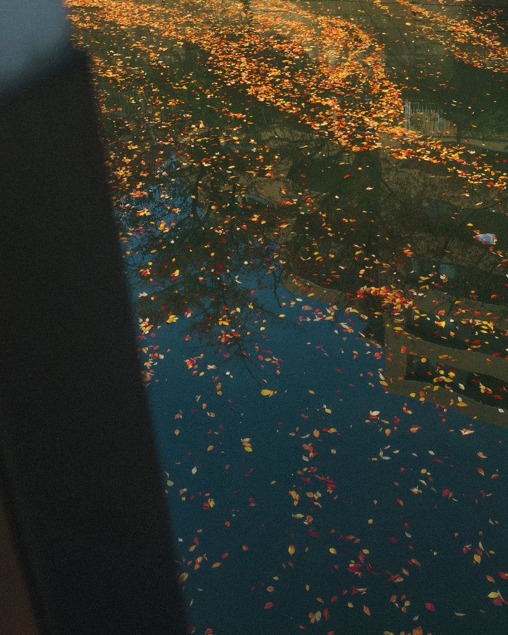 Nina Structured Camel Wool Coat, Noir