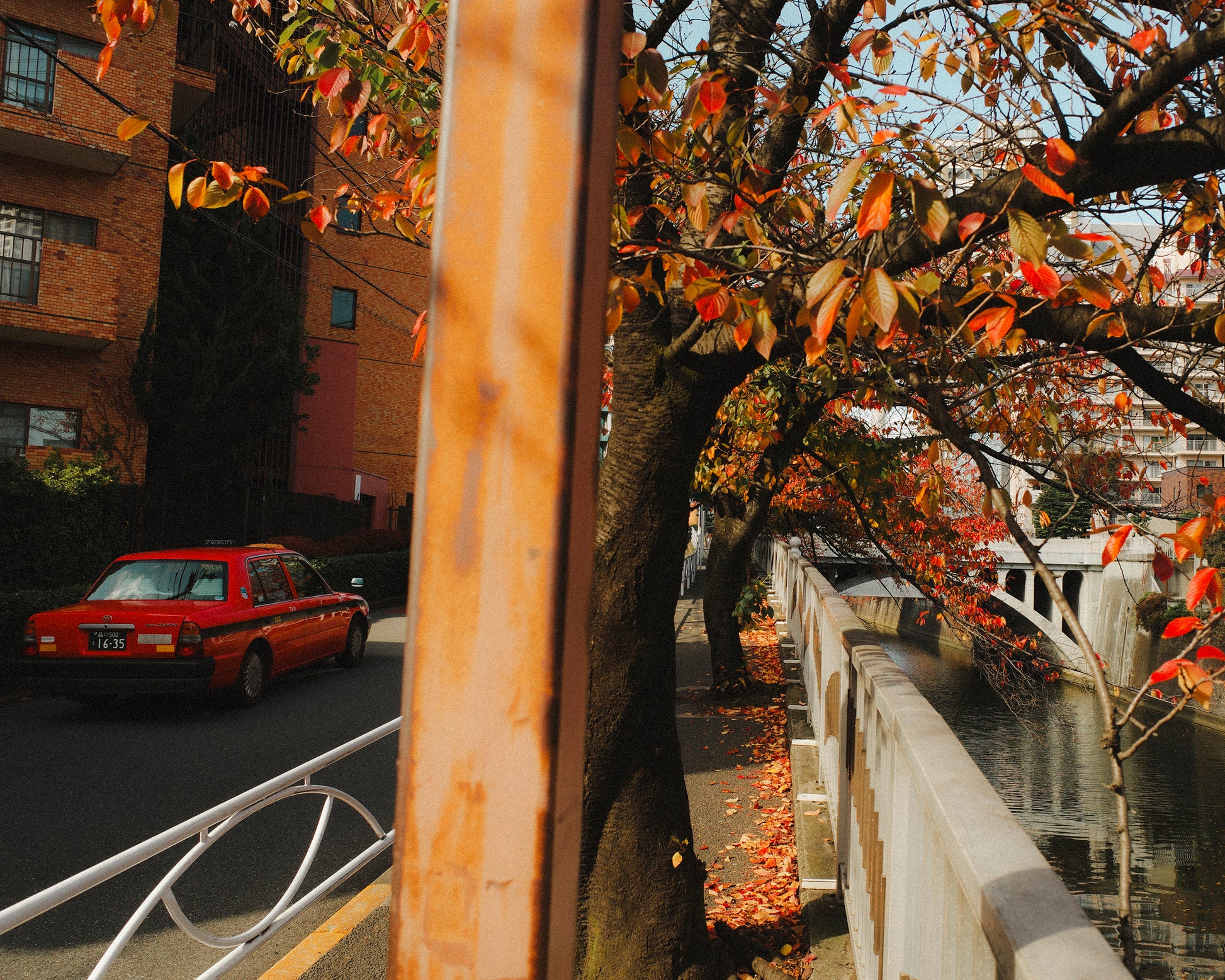 Pongo’s Walking Trousers, London Brown