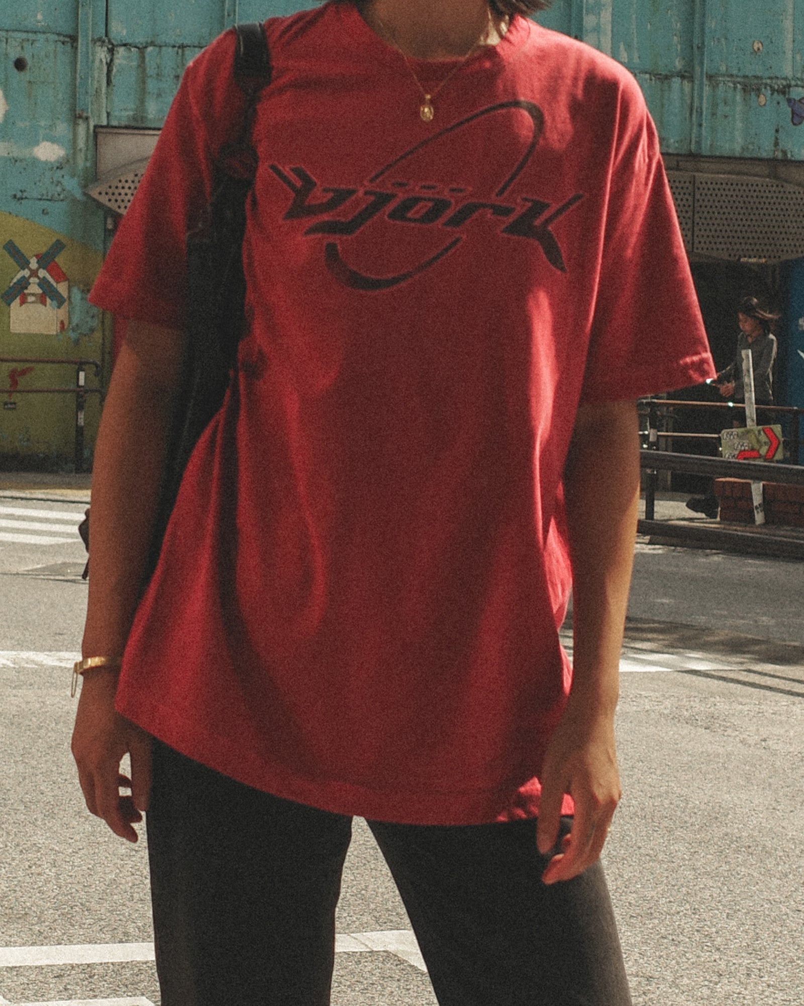 Björk 90s Washed Graphic Tee, Faded Crimson Red