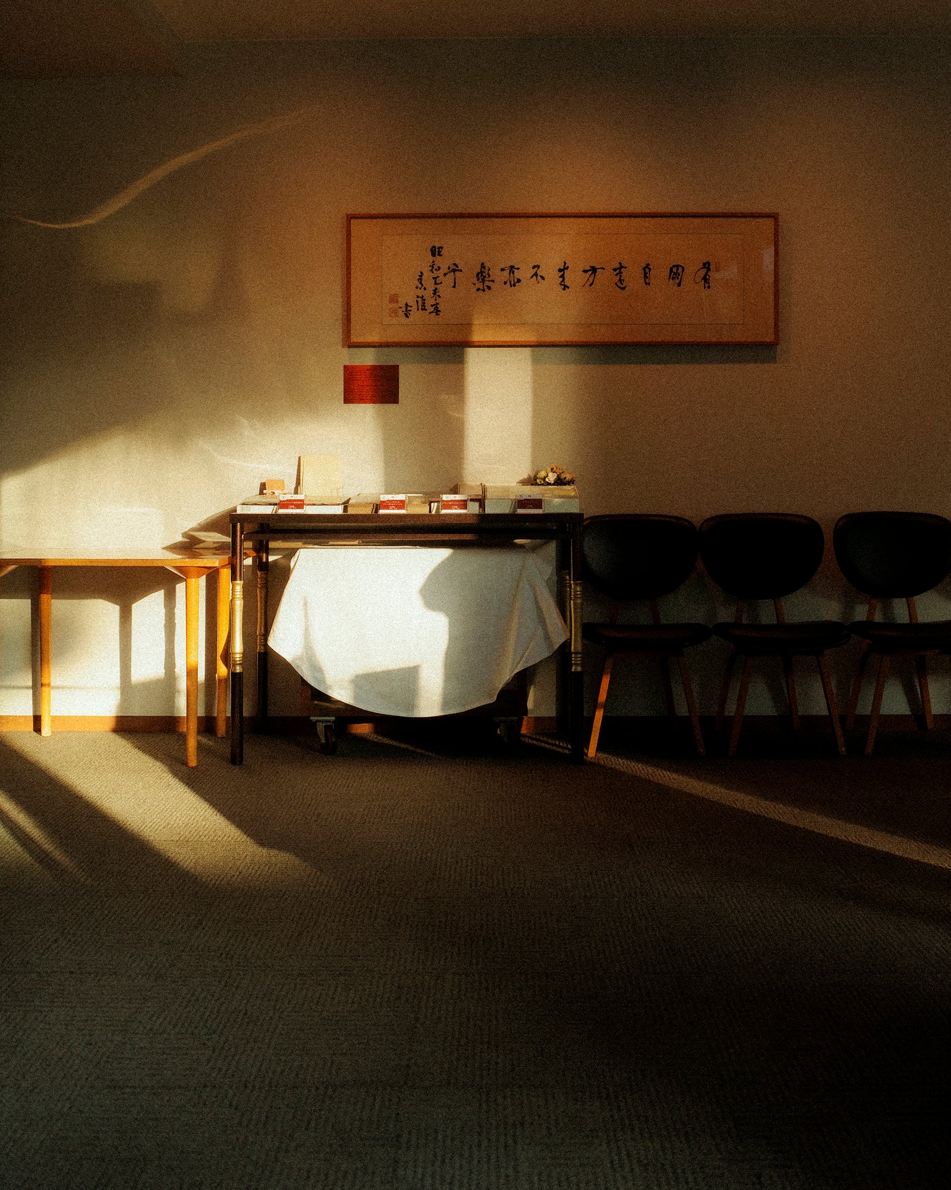 Pongo’s Walking Trousers, Field Olive