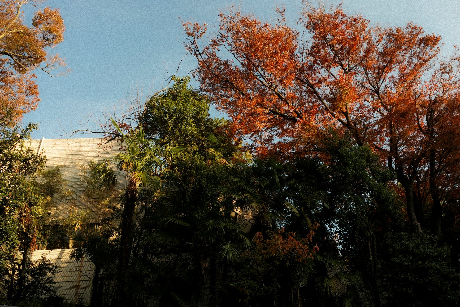 Baroque Velvet Raglan Jacket, Double Black